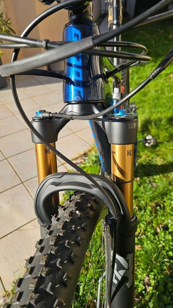 Gebrauchtes Giant Anthem Advanced Pro 29 1 2020 2020 Mountainbike, Blau — Bild 7 von 11