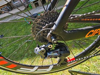 Used Cipollini Aerorad RB1K 2018 2018 Road & Gravel, Black — image 4 of 5