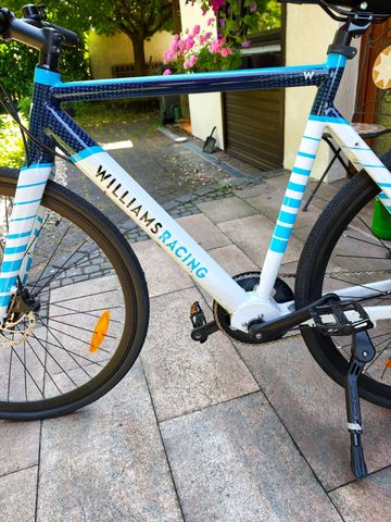 Brugt Williams Racing EBike 2024 Urban — billede 22 af 23