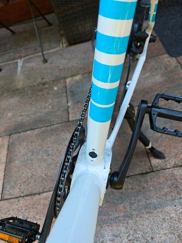 Brugt Williams Racing EBike 2024 Urban — billede 14 af 23