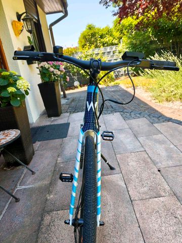 Brugt Williams Racing EBike 2024 Urban — billede 3 af 23