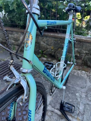 Used Bianchi reparto corse eroica Custom Campagnolo Veloce 1990 Road & Gravel, Green — image 9 of 24