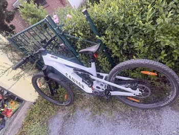 Used Canyon Strive:ON CFR LTD 2024 2024 Mountainbike, White, 29, 27.5 — image 3 of 3