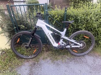 Used Canyon Strive:ON CFR LTD 2024 2024 MTB