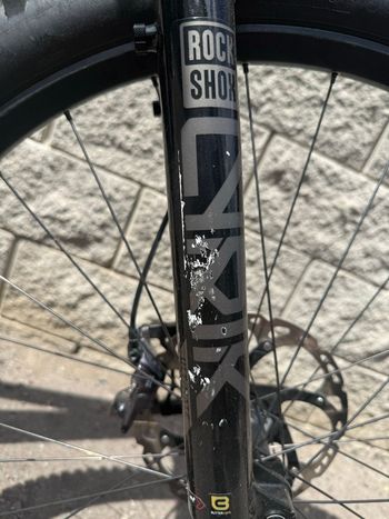 Used Transition Sentinel Carbon XT 2025 2025 Mountainbike, Light Gray — image 3 of 15