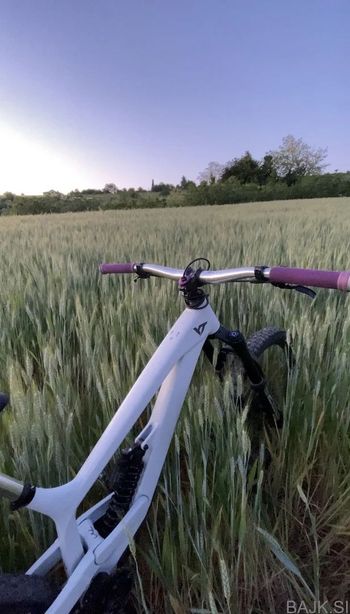 Used YT Custom Single Speed / Fixed Gear 2024 Mountainbike, White, 27.5 (650B) — image 15 of 17