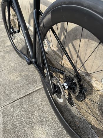 Used Specialized Men's Tarmac Disc Pro 2019 2019 Road & Gravel, Black — image 10 of 13