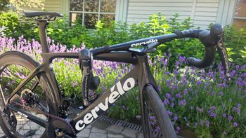 Used Cervélo S5 Dura Ace Di2 Disc 2021 2021 Road & Gravel, Black — image 13 of 18