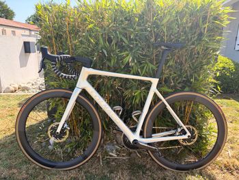 Used Colnago V4Rs Shimano Ultegra Di2 2025 2025 Road & Gravel