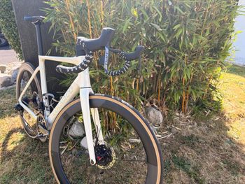 Used Colnago V4Rs Shimano Ultegra Di2 2025 2025 Road & Gravel, White — image 4 of 4