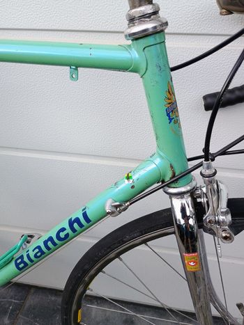 Used Bianchi Custom Shimano Dura Ace 1995 Road & Gravel, Green — image 2 of 12