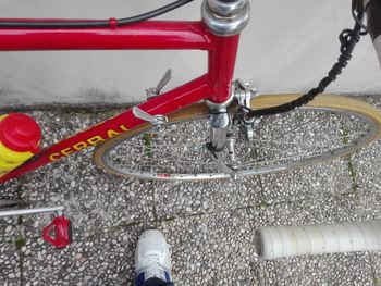 Použité Daccordi Custom Campagnolo Record 1995 Road & Gravel — obrázek 9 z 15