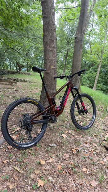 Used Santa Cruz Bronson R / Carbon C 2025 2025 Mountainbike, Red, 29, 27.5 — image 3 of 11