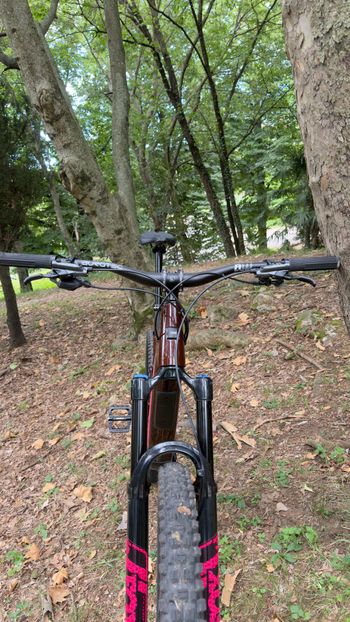Used Santa Cruz Bronson R / Carbon C 2025 2025 Mountainbike, Red, 29, 27.5 — image 9 of 11