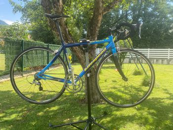 Used Litespeed Custom Shimano Ultegra 2003 Road & Gravel
