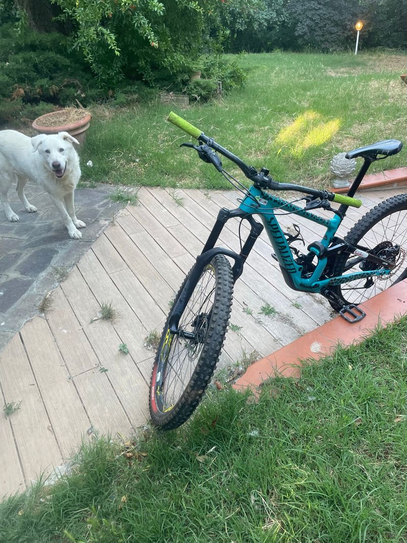 Used Specialized Enduro Comp 2021 2021 Mountainbike, Blue, 29 — image 2 of 3