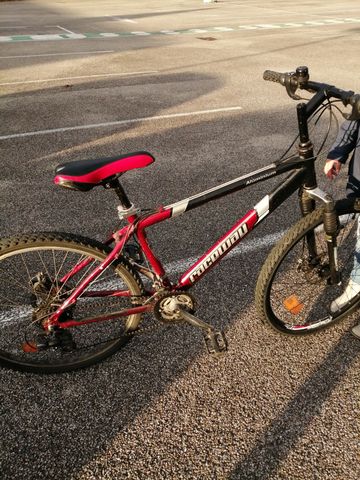 Used Racewaij Custom Other 2005 Road & Gravel