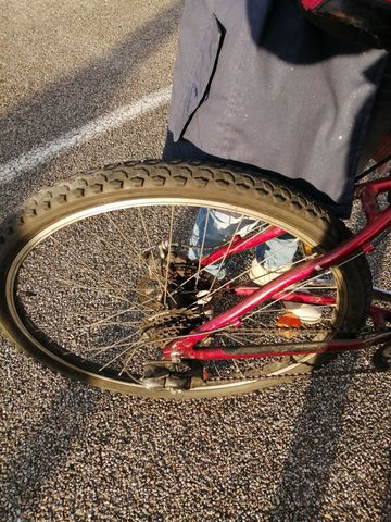 Used Racewaij Custom Other 2005 Road & Gravel, White — image 4 of 4