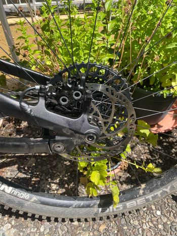 Brugt Radon SLIDE TRAIL AL 8.0 2024 2024 Mountainbike — billede 5 af 9