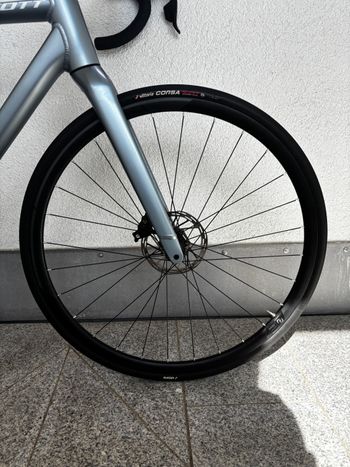Gebrauchtes Scott Contessa Speedster Gravel 35 2024 2024 Road & Gravel, Hellgrau — Bild 5 von 5