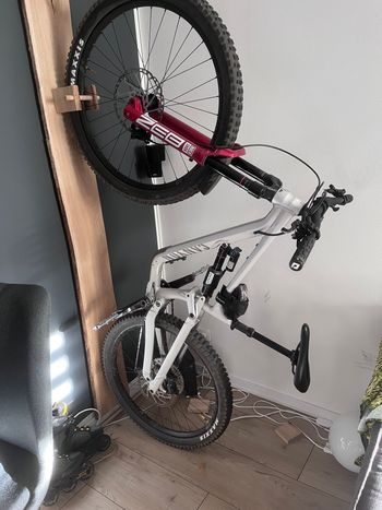 Used Canyon Torque Mullet 6 2025 Frameset 2025 Mountainbike, Light Gray — image 5 of 8