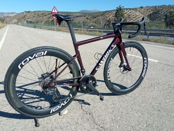 Used Specialized S-Works Tarmac SL8 - Shimano Dura-Ace Di2 2024 2024 Road & Gravel, Red — image 10 of 10