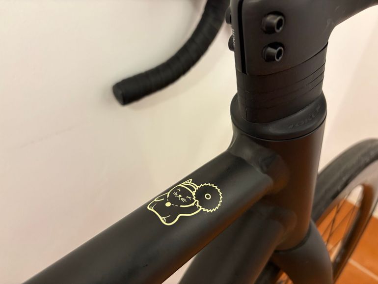 Used Standert Kreissäge RS Eight Ball Black 2025 2025 Road & Gravel, Black — image 4 of 11