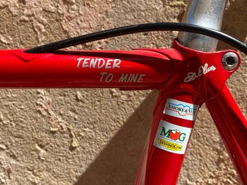 Used Olmo Scatto Campagnolo Mirage 2000 Road & Gravel, White — image 15 of 23