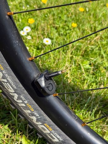 Used Cannondale Scalpel SRAM XX1 Eagle AXS 2021 Mountainbike, Red, 29 — image 5 of 6