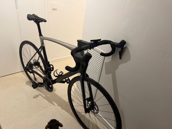 Used Ridley Fenix SLiC - Shimano 105 DI2 // 2x12s 2024 2024 Road & Gravel, Light Gray — image 5 of 6