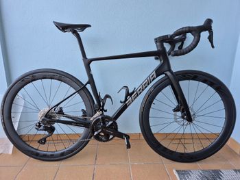 Used Berria BELADOR 7 2024 2024 Road & Gravel