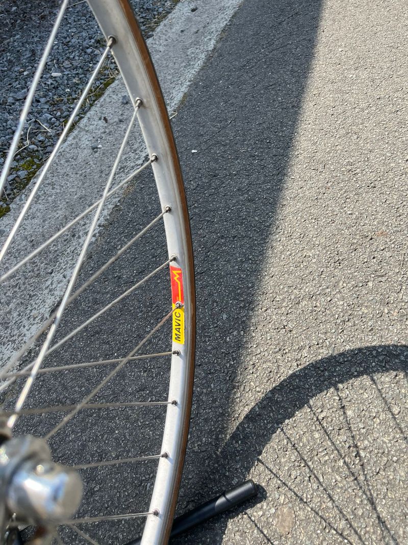Used Gianni Motta Custom Campagnolo Athena 1988 Road & Gravel, White — image 9 of 23