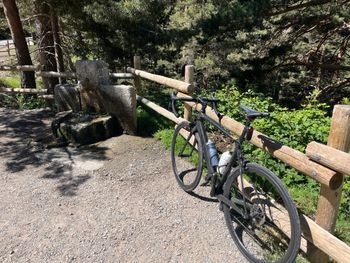 Used Canyon Endurace CF 7.0 2019 2019 Road & Gravel, Black — image 3 of 5