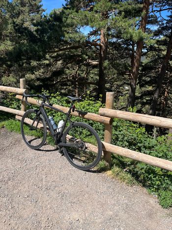 Used Canyon Endurace CF 7.0 2019 2019 Road & Gravel, Black — image 2 of 5