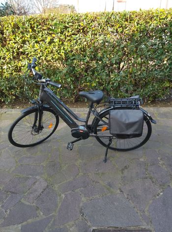 Used Torpado Venus 2024 Urban & Touring