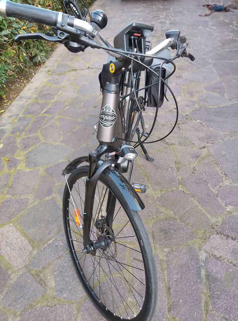 Used Torpado Venus 2024 Urban, Green — image 2 of 3