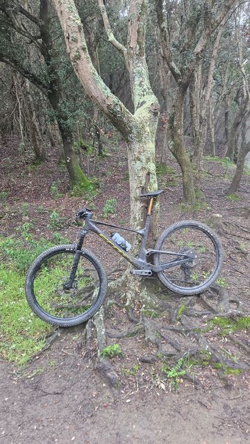 Tweedehands Scott Spark RC Team Issue 2024 2024 Mountainbike — afbeelding 2 van 6