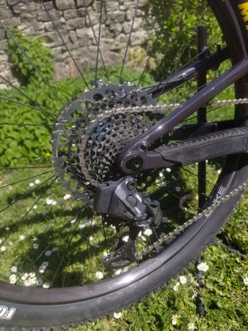 Used Santa Cruz Tallboy XX1 AXS Reserve / Carbon CC / 29 2020 2020 MTB