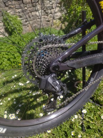 Použité Santa Cruz Tallboy XX1 AXS Reserve / Carbon CC / 29 2020 2020 Mountainbike — obrázek 7 z 12