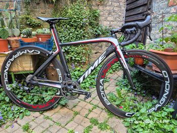 Used Time Scylon Frameset 2019 2019 Road & Gravel