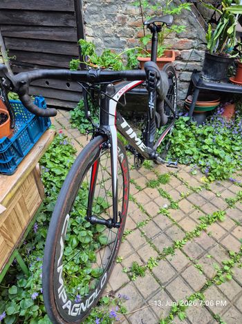 Used Time Scylon Frameset 2019 2019 Road & Gravel, Black — image 6 of 8