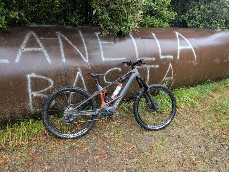Orbea Wild M20 2025 2025 Mountainbike de segunda mano, Gris claro — imagen 3 de 5