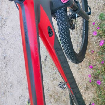Used Specialized Women's Stumpjumper ST Comp Carbon 29 2018 2018 Mountainbike, Red — image 6 of 11