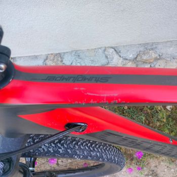 Used Specialized Women's Stumpjumper ST Comp Carbon 29 2018 2018 Mountainbike, Red — image 5 of 11