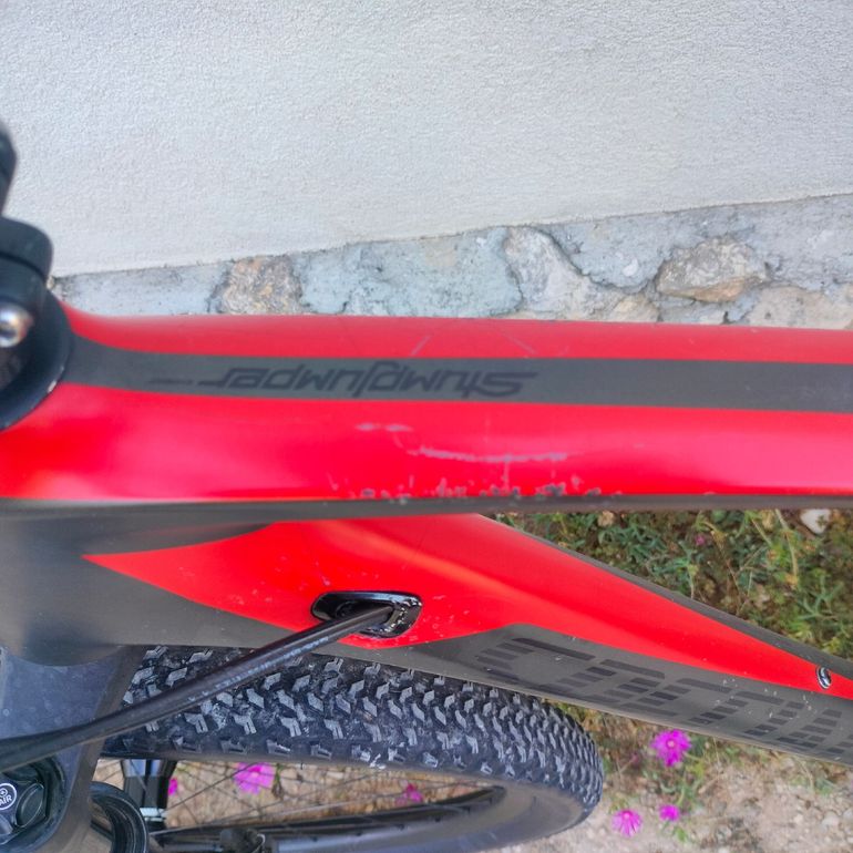 Used Specialized Women's Stumpjumper ST Comp Carbon 29 2018 2018 Mountainbike, Red — image 5 of 11