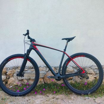 Used Specialized Women's Stumpjumper ST Comp Carbon 29 2018 2018 Mountainbike, Red — image 2 of 11