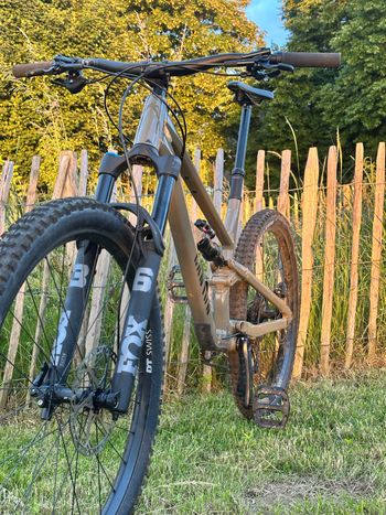 Used Canyon Spectral 6 2025 2025 Mountainbike, Light Gray, 29, 27.5 — image 2 of 9