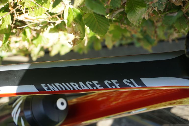 Used Canyon Endurace CF SL Disc 8.0 2019 2019 Road & Gravel, Red — image 3 of 17
