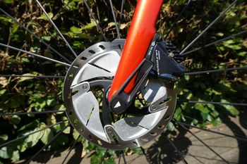 Used Canyon Endurace CF SL Disc 8.0 2019 2019 Road & Gravel, Red — image 14 of 17