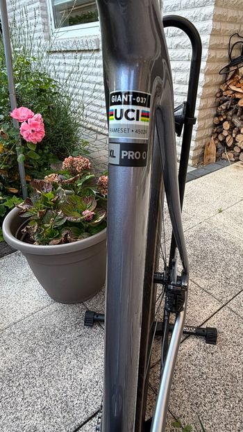 Gebrauchtes Giant TCR Advanced Pro 0 Di2 2025 2025 Road & Gravel, Hellgrau — Bild 19 von 32